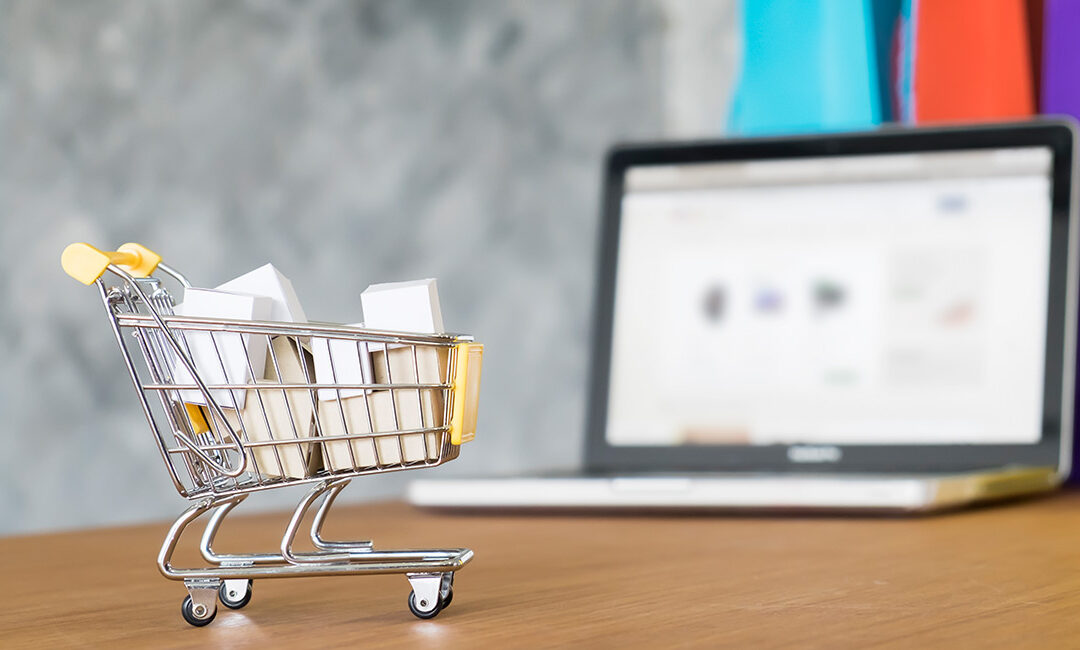 How To Build A Professional Website For Your Ecommerce Business ?
