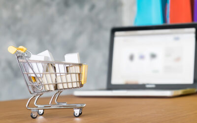 How To Build A Professional Website For Your Ecommerce Business ?